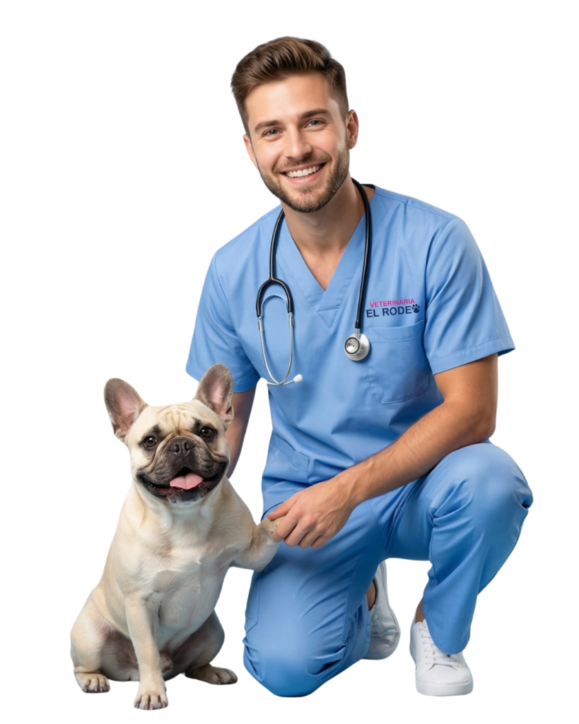 contenido veterinaria el rodeo 1 819x1024